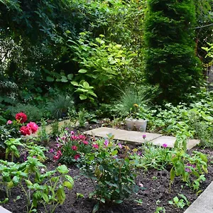 Center With A Backyard Апартаменты